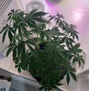 20220615_194737.jpg