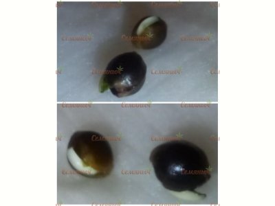 67-wm-226830.9999999983_watermarked.jpg 67-wm-226830.9999999983_watermarked.jpg