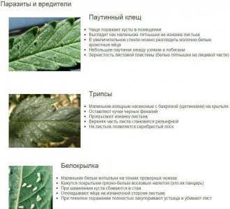 79F7DF65-413C-4B8A-A4CC-2A631E4BB028.jpeg