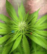 1000134330.jpg