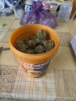 20260924_151011.jpg