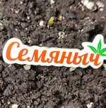 IMG_20260930_160444.jpg