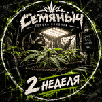 Новобранец Lowryder #2