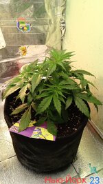 1791128734112.jpg