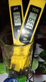 1000134745.jpg