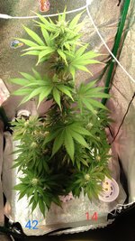 1000134870.jpg