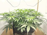 IMG_2839.jpeg
