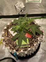 IMG_4759.jpeg