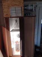 IMG_20261009_150826.jpg