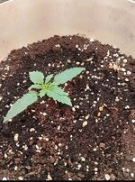 1791879469414.jpg