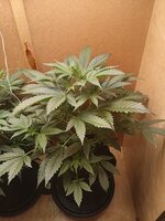 16104.jpg