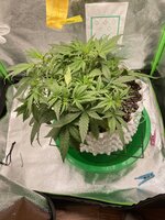 IMG_4850.jpeg