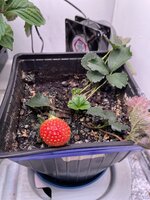 IMG_5771.jpeg
