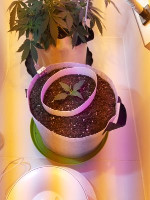 20220702_112429.jpg