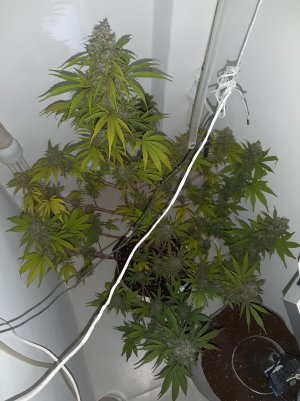 20220708_103634.jpg