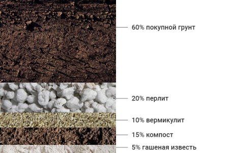 Рецепт почвосмеси для выращивания конопли