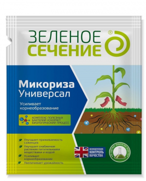 2 — копия.png 2 — копия.png