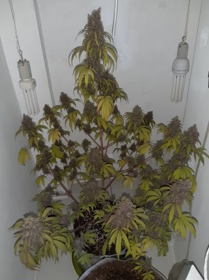 20220713_084454.jpg
