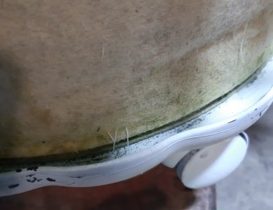 20220722_082723.jpg