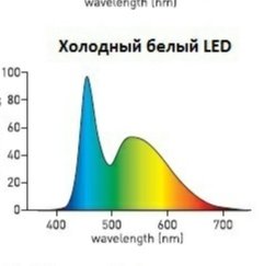 IMG_20220726_092350.jpg