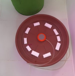 20220819_135742.jpg