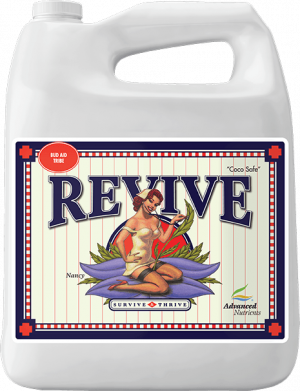 4008_revive.png
