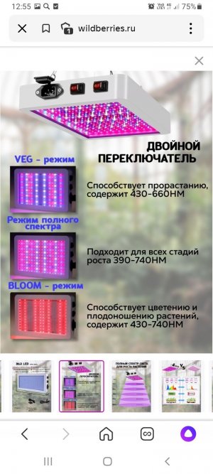 Screenshot_20220916-125551_Yandex.jpg