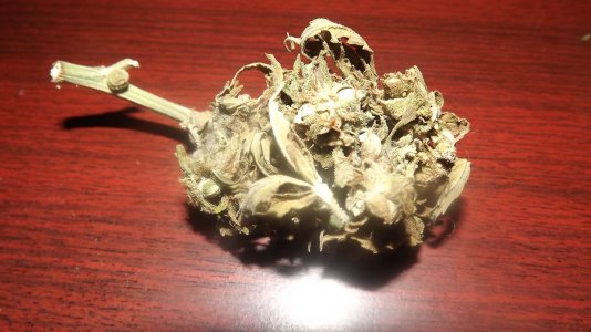 DSCF4090.JPG