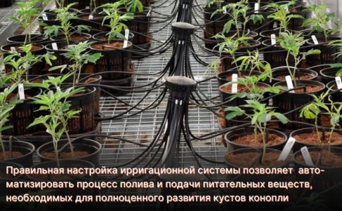 Преимущества использования ирригационной системы Преимущества использования ирригационной системы