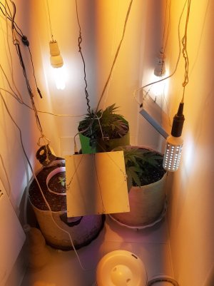 20221015_231931.jpg