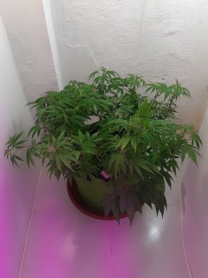 20221024_102235.jpg