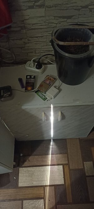 IMG_20221026_174333.jpg