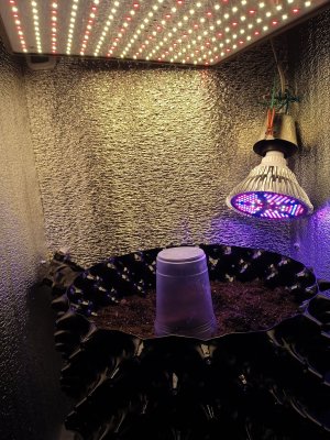 IMG_20221028_112416.jpg