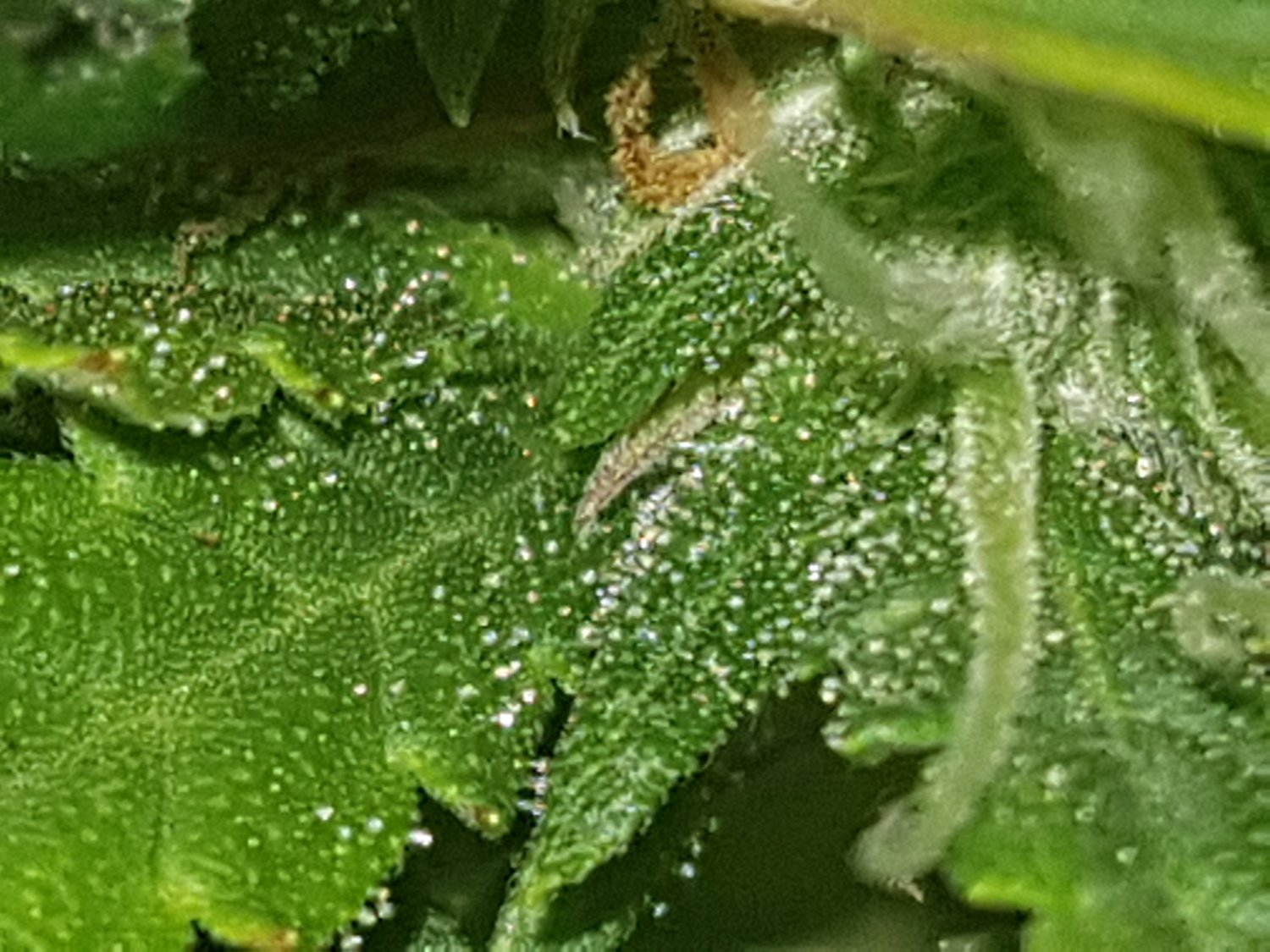 20221118_232328.jpg
