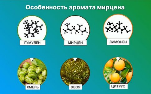 Свойства мирцена