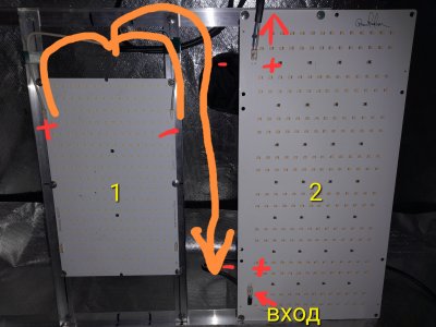 IMG_20221208_022634.jpg