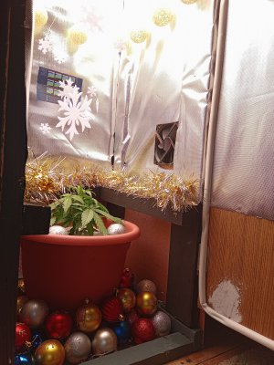 IMG20221211225632.jpg