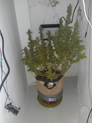 20221215_100516.jpg 20221215_100516.jpg