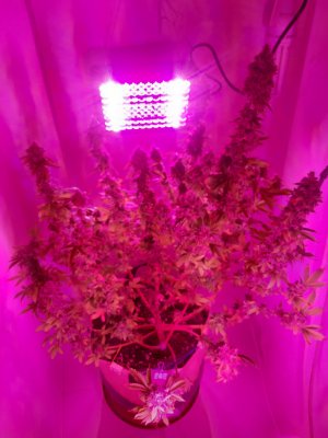 20221216_095508.jpg 20221216_095508.jpg