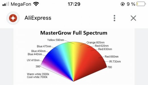 A35DE0F2-631C-40FC-B5E7-2997E75E07D1.jpeg