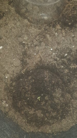20221224_150237.jpg