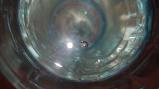 20221220_205859.jpg