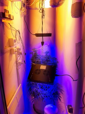 20221225_143612.jpg
