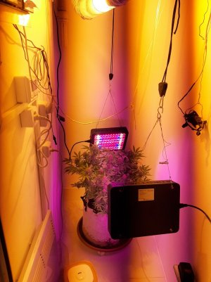 20221229_081526.jpg 20221229_081526.jpg