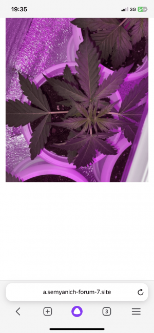 486EE164-CF2E-4FEB-8099-1D4E46DABD25.png