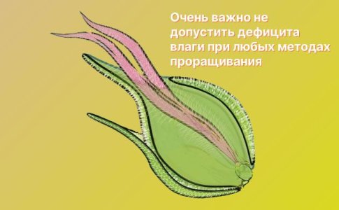 Вода Вода