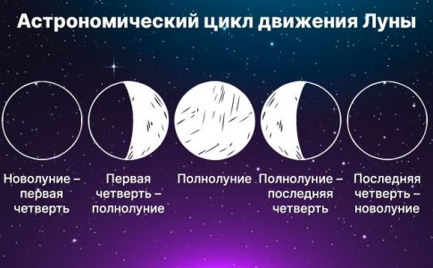 Фазы Луны и выращивание конопли