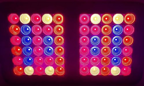 S30124-205624(1).jpg