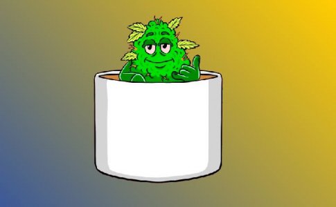 Промывка шишек конопли Промывка шишек конопли
