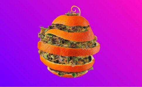 Апельсиновая кожура Апельсиновая кожура